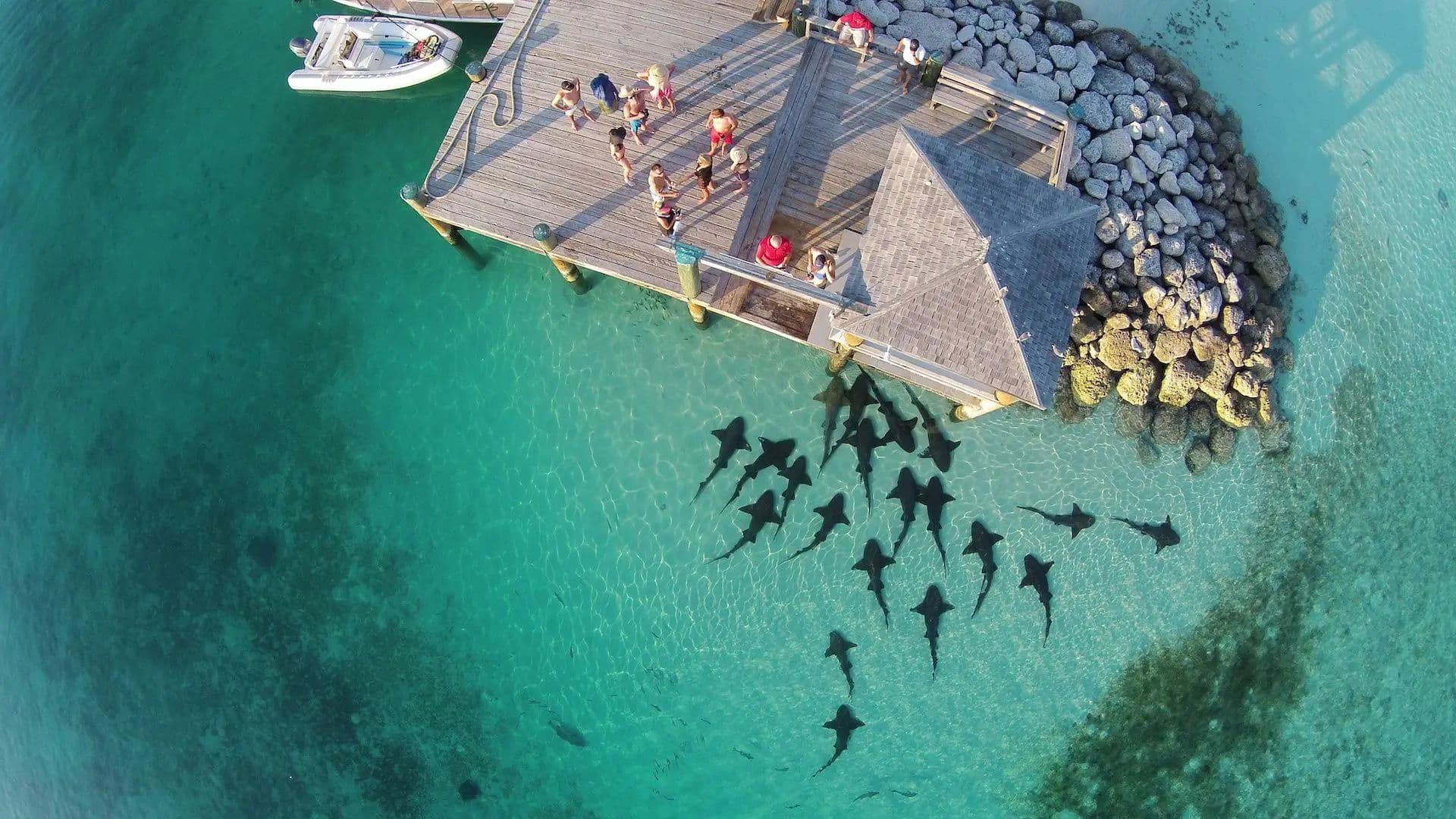 warderick wells cay