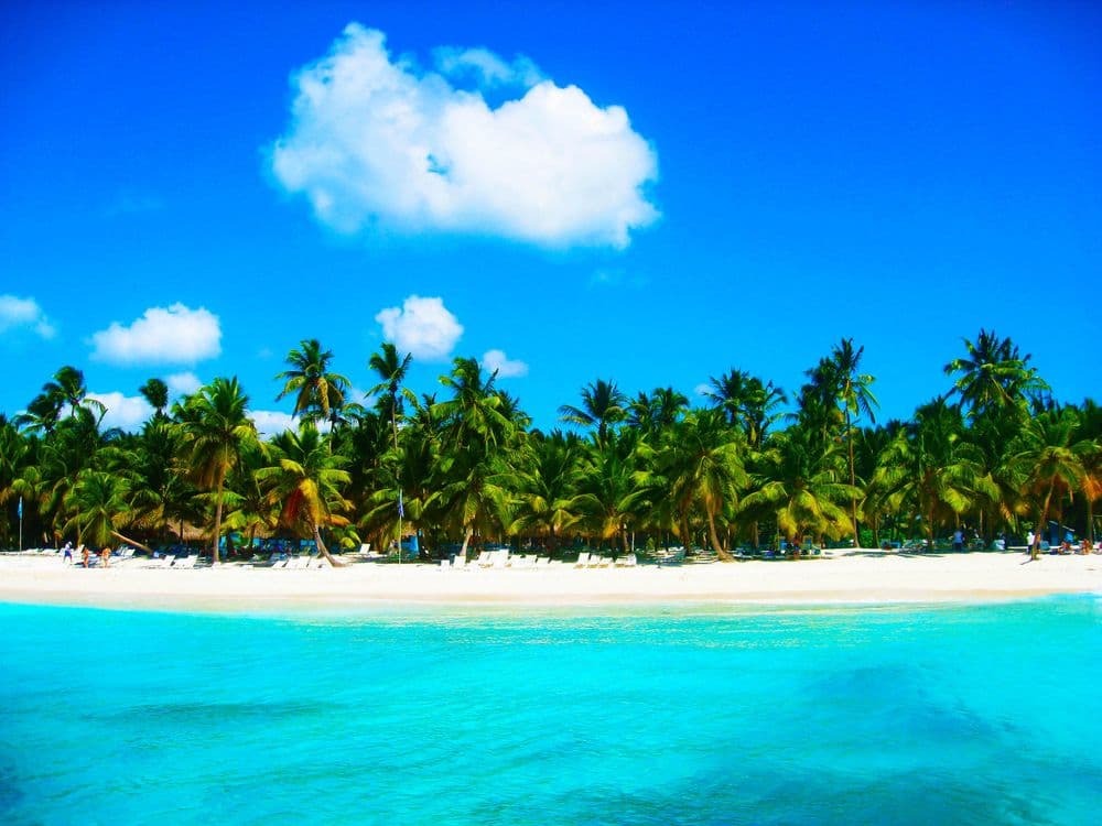 bvi beaches with palm trees